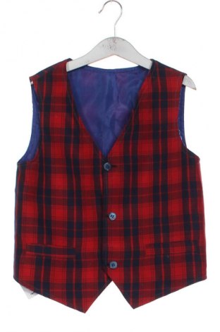 Gyerek mellény Unbranded, Méret 4-5y / 110-116 cm, Szín Sokszínű, Ár 4 180 Ft