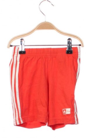 Παιδικό κοντό παντελόνι Adidas, Μέγεθος 18-24m/ 86-98 εκ., Χρώμα Κόκκινο, Τιμή 7,99 €