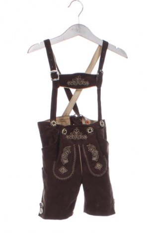 Kinder Shorts Country Maddox, Größe 9-12m/ 74-80 cm, Farbe Mehrfarbig, Preis 9,00 €