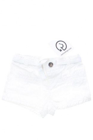 Kinder Shorts Gocco, Größe 6-9m/ 68-74 cm, Farbe Weiß, Preis € 9,21