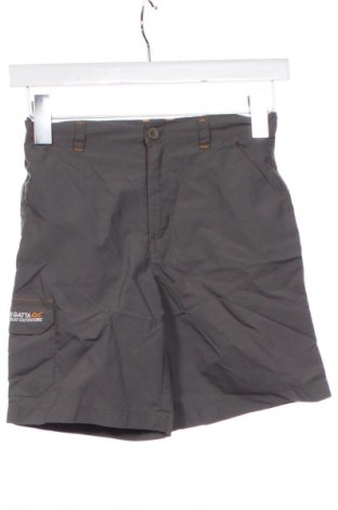 Kinder Shorts Regatta, Größe 6-7y/ 122-128 cm, Farbe Grau, Preis € 7,67
