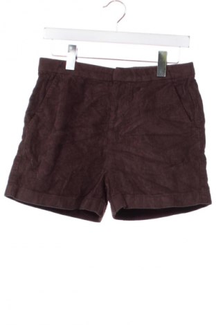 Dziecięce szorty TCM, Rozmiar 15-18y/ 170-176 cm, Kolor Brązowy, Cena 26,99 zł