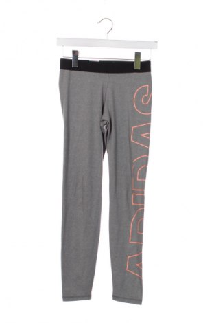 Παιδικό κολάν Adidas, Μέγεθος 12-13y/ 158-164 εκ., Χρώμα Γκρί, Τιμή 9,74 €