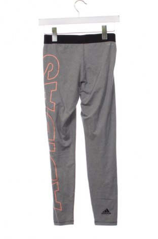 Παιδικό κολάν Adidas, Μέγεθος 12-13y/ 158-164 εκ., Χρώμα Γκρί, Τιμή 9,74 €