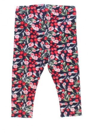 Dziecięce legginsy Unbranded, Rozmiar 3-6m/ 62-68 cm, Kolor Kolorowy, Cena 41,38 zł