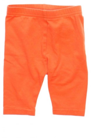 Dziecięce legginsy Unbranded, Rozmiar 3-6m/ 62-68 cm, Kolor Pomarańczowy, Cena 41,38 zł
