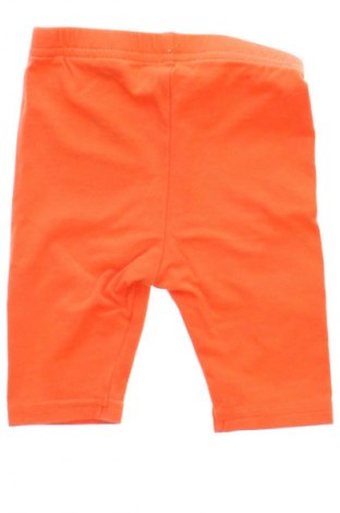 Dziecięce legginsy Unbranded, Rozmiar 3-6m/ 62-68 cm, Kolor Pomarańczowy, Cena 41,38 zł