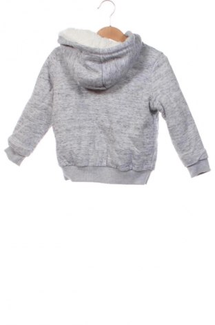 Kinder Sweatshirts Lupilu, Größe 2-3y/ 98-104 cm, Farbe Grau, Preis € 11,00