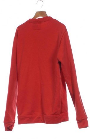 Herren Shirt Iceberg, Größe XS, Farbe Orange, Preis 49,10 €