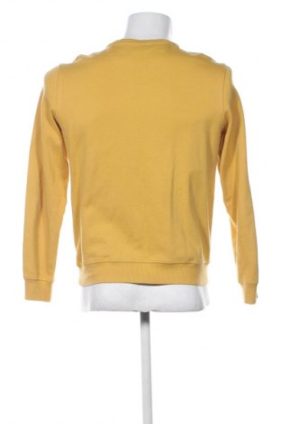 Herren Shirt Teodor, Größe S, Farbe Gelb, Preis € 21,13