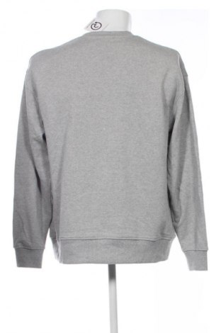 Herren Shirt Zara, Größe XL, Farbe Grau, Preis 13,99 €
