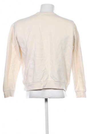 Herren Shirt Zara, Größe M, Farbe Ecru, Preis € 13,99