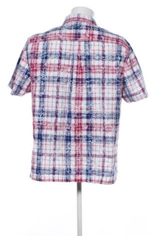 Herrenhemd Mantaray, Größe XL, Farbe Mehrfarbig, Preis € 14,99