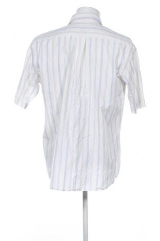 Herrenhemd Wolczanka, Größe XL, Farbe Mehrfarbig, Preis € 12,99