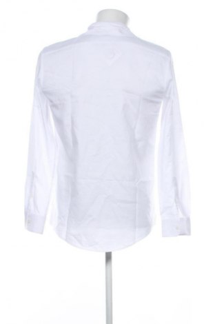 Pánská košile  Zara, Velikost M, Barva Bílá, Cena  345,00 Kč