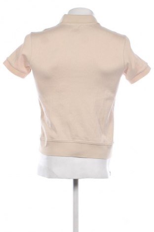Herren T-Shirt ASOS, Größe M, Farbe Beige, Preis 7,67 €