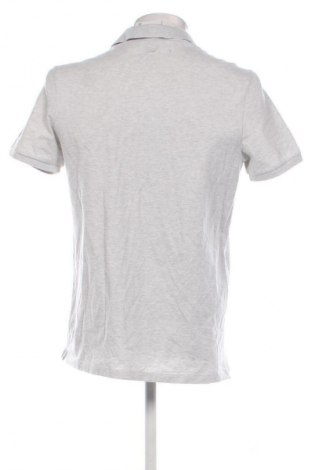 Herren T-Shirt Abercrombie & Fitch, Größe L, Farbe Grau, Preis € 13,99