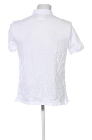Herren T-Shirt Emporio Armani, Größe L, Farbe Weiß, Preis € 47,99