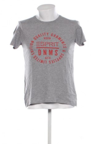 Herren T-Shirt Esprit, Größe M, Farbe Grau, Preis 11,99 €