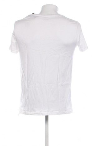 Herren T-Shirt Livergy, Größe M, Farbe Mehrfarbig, Preis 15,86 €