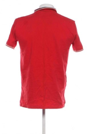 Herren T-Shirt Livergy, Größe M, Farbe Rot, Preis 9,72 €