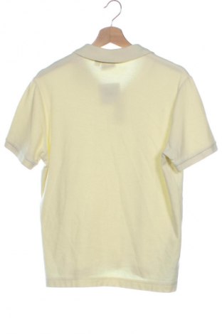 Herren T-Shirt Mango, Größe XS, Farbe Gelb, Preis € 7,99
