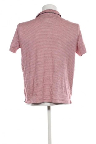 Herren T-Shirt Pierre Cardin, Größe L, Farbe Mehrfarbig, Preis 30,99 €