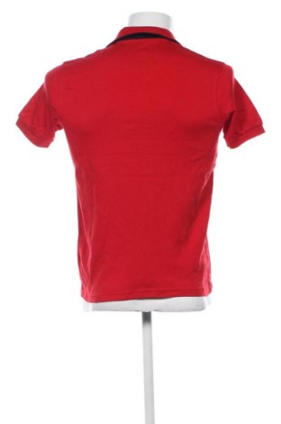 Herren T-Shirt Polo, Größe M, Farbe Rot, Preis 33,99 €