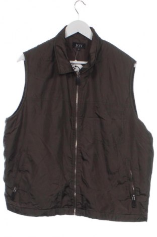 Vestă de bărbați Joy, Mărime XL, Culoare Verde, Preț 137,99 Lei