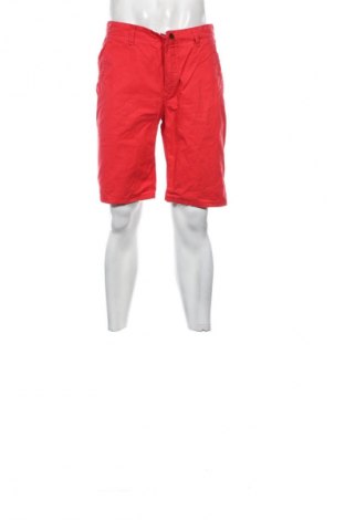 Herren Shorts Hilfiger Denim, Größe L, Farbe Rot, Preis 35,99 €