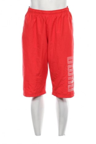 Herren Shorts PUMA, Größe L, Farbe Rot, Preis 27,99 €