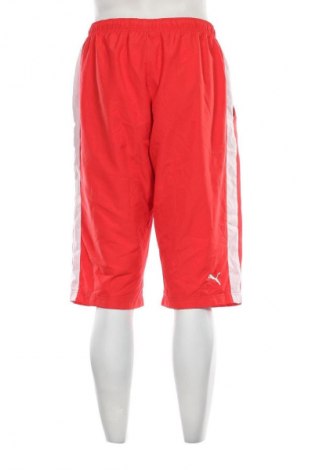 Herren Shorts PUMA, Größe L, Farbe Rot, Preis 27,99 €