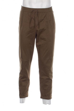 Herrenhose Peter Hahn, Größe L, Farbe Grün, Preis € 8,99