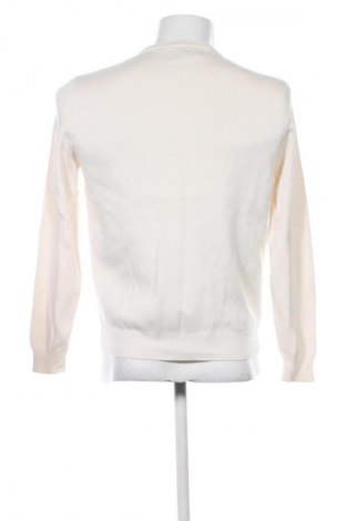 Herrenpullover Zara, Größe M, Farbe Ecru, Preis 22,99 €