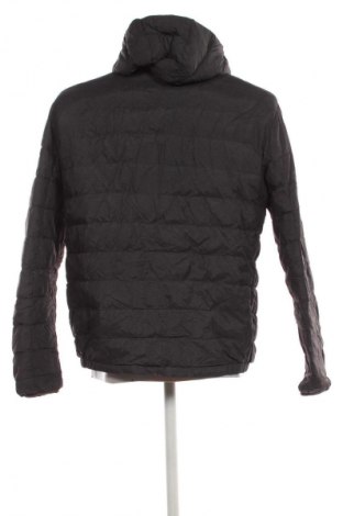 Pánska bunda  Ralph Lauren, Veľkosť L, Farba Sivá, Cena  47,95 €