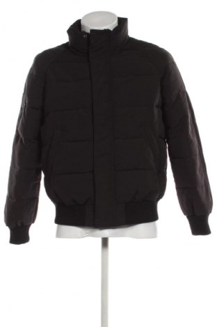 Herrenjacke Superdry, Größe L, Farbe Schwarz, Preis 71,99 €