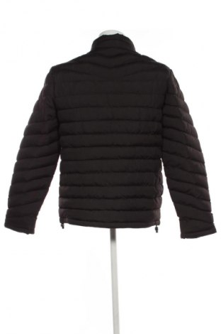 Ανδρικό μπουφάν Threadbare, Μέγεθος M, Χρώμα Μαύρο, Τιμή 55,99 €