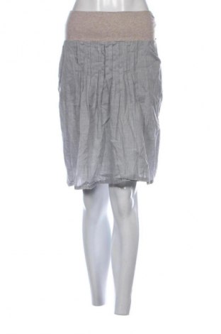 Rock Fabiana Filippi, Größe S, Farbe Grau, Preis € 63,00