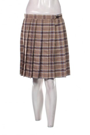 Fustă Unbranded, Mărime XXL, Culoare Multicolor, Preț 95,00 Lei