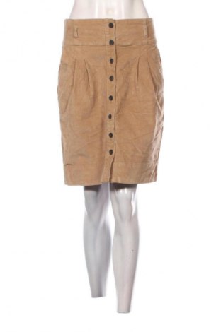 Rock Zara, Größe M, Farbe Beige, Preis € 10,99