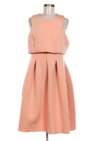 Kleid ASOS, Größe XL, Farbe Rosa, Preis 24,49 €