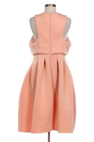 Kleid ASOS, Größe XL, Farbe Rosa, Preis 24,49 €