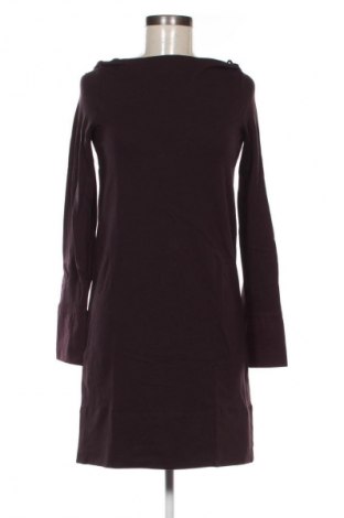 Kleid COS, Größe XS, Farbe Lila, Preis € 41,94