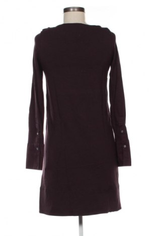 Kleid COS, Größe XS, Farbe Lila, Preis € 41,94
