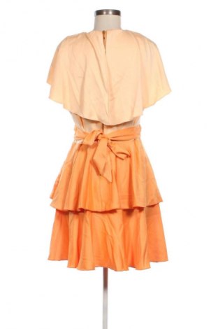 Sukienka Closet London, Rozmiar XL, Kolor Pomarańczowy, Cena 492,99 zł