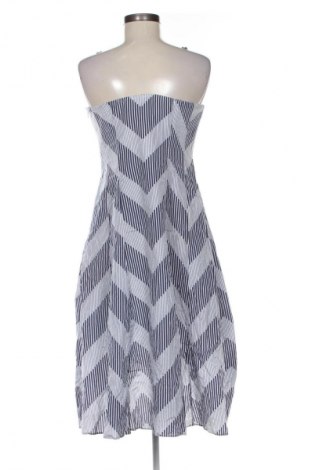 Kleid Coast, Größe XL, Farbe Mehrfarbig, Preis 41,94 €