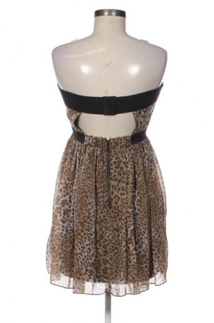 Φόρεμα Collection, Μέγεθος M, Χρώμα Πολύχρωμο, Τιμή 14,77 €