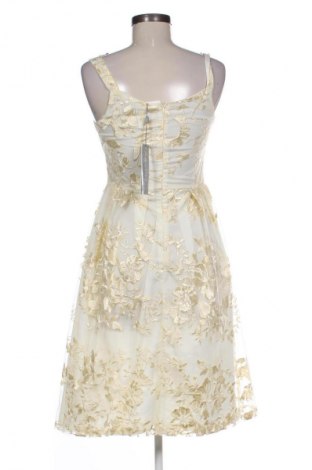 Kleid Dolly& Deelicious, Größe M, Farbe Mehrfarbig, Preis 71,53 €