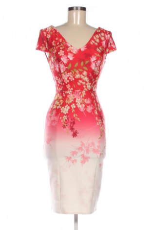 Kleid Dorothy Perkins, Größe XS, Farbe Mehrfarbig, Preis 13,80 €