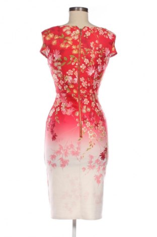 Kleid Dorothy Perkins, Größe XS, Farbe Mehrfarbig, Preis 13,80 €